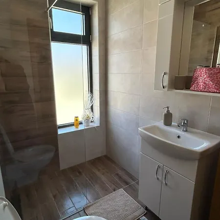 Nina Apartment Soko Banja